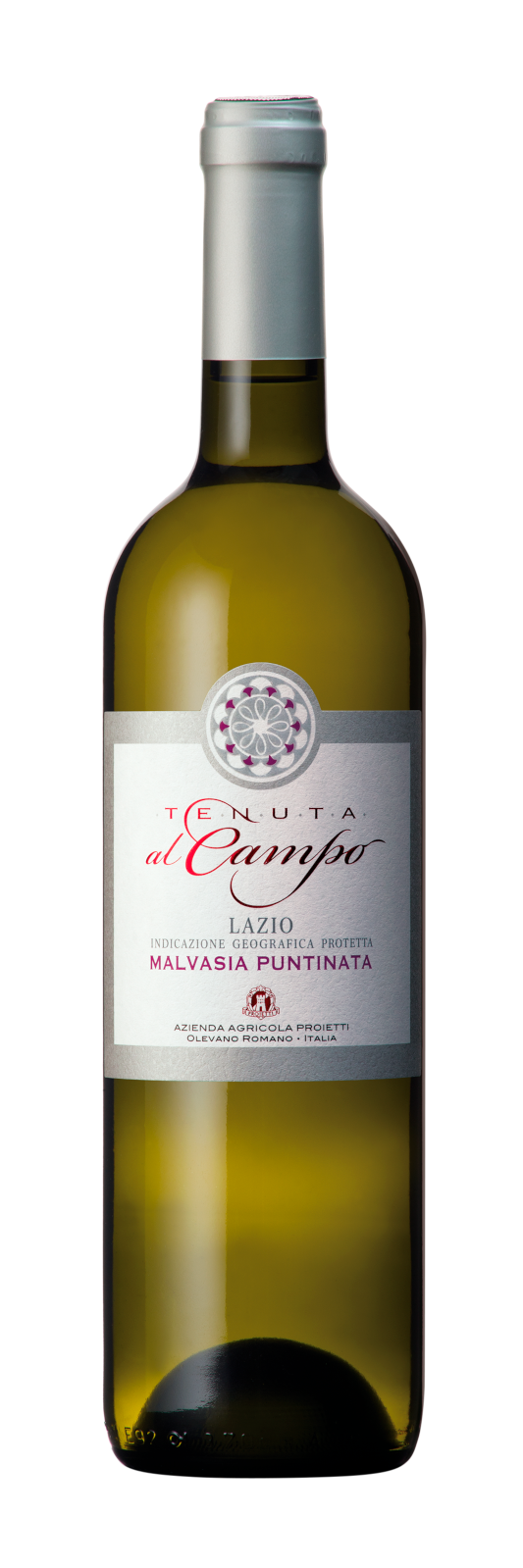 Malvasia Puntinata